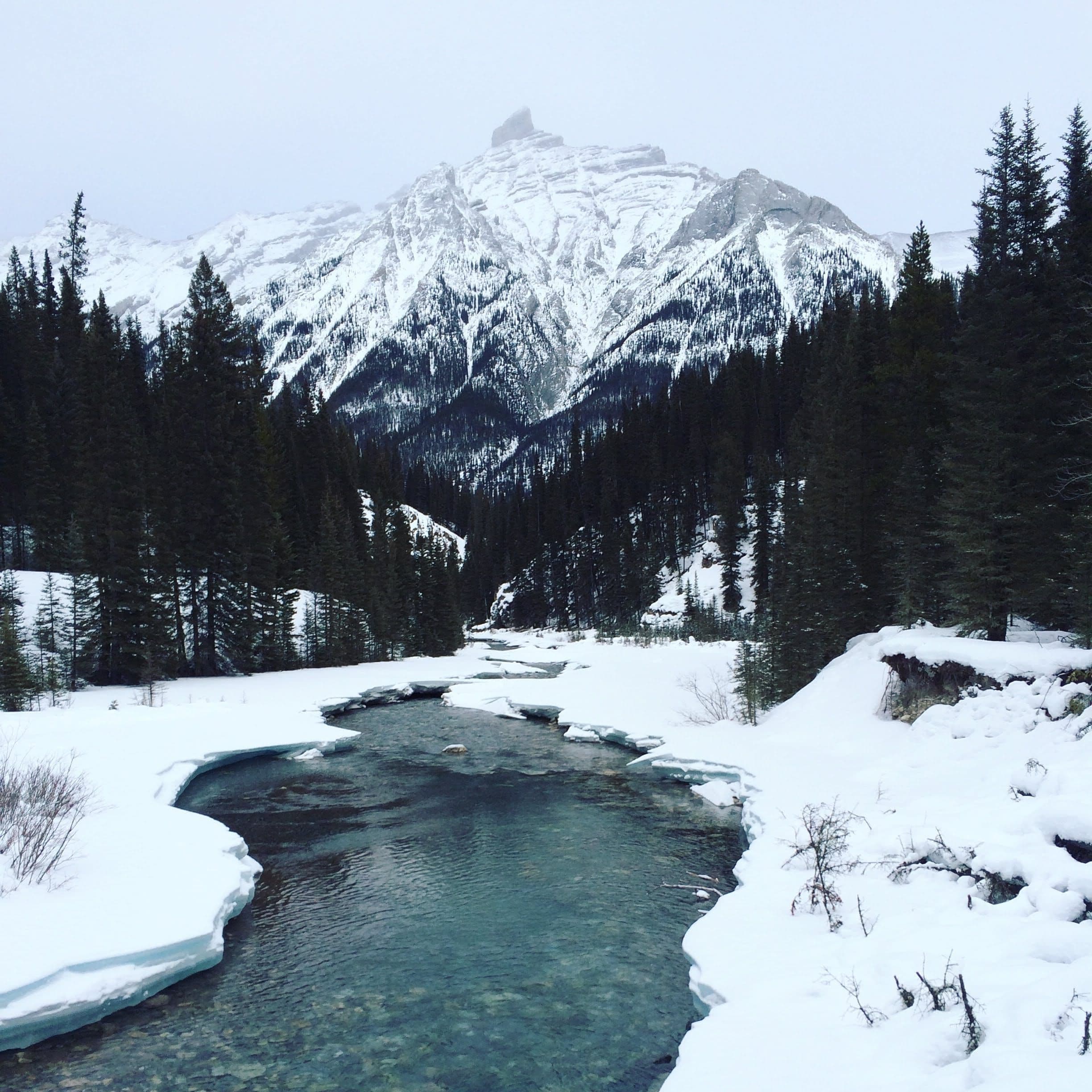 Snowpack visual