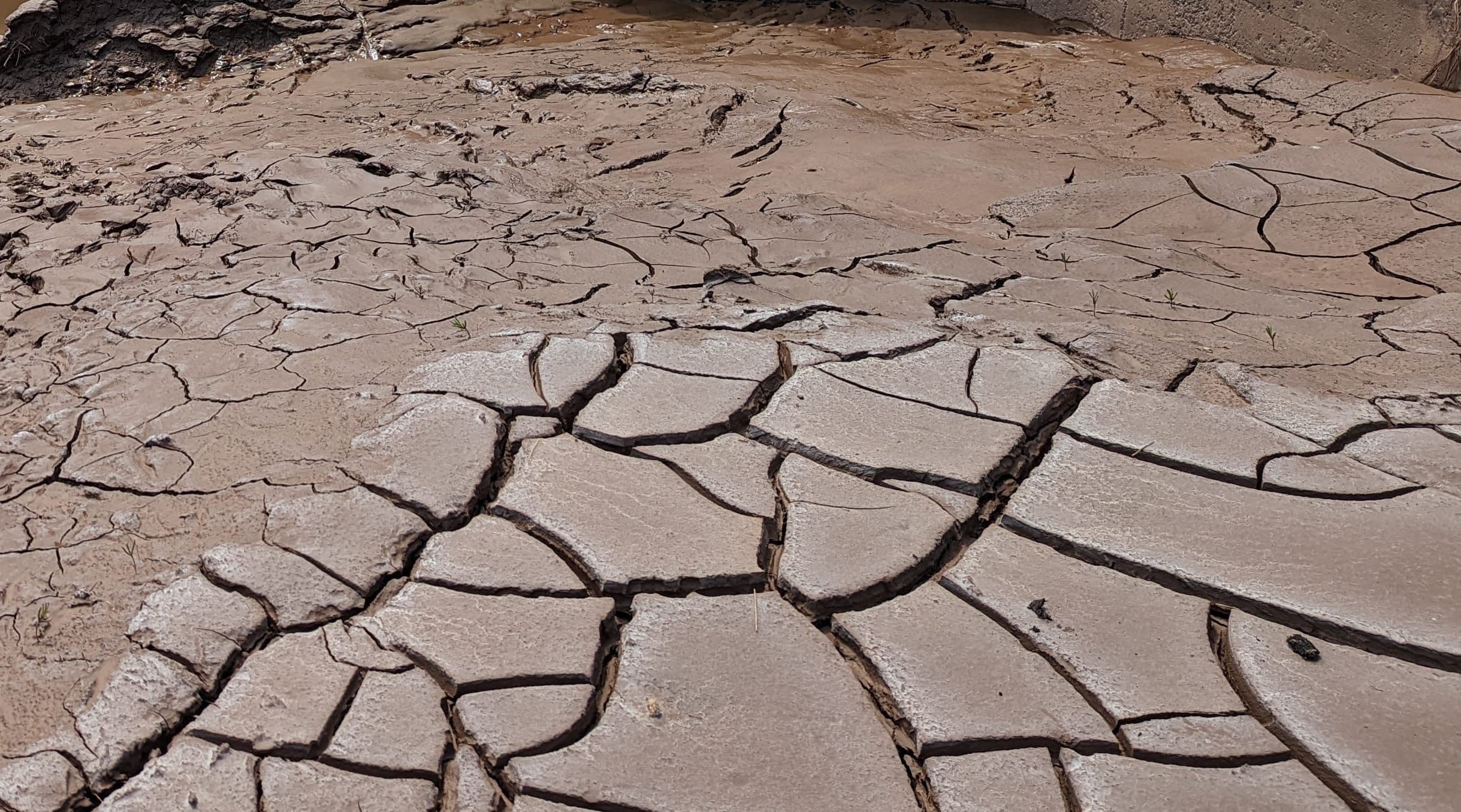 Climate change visual