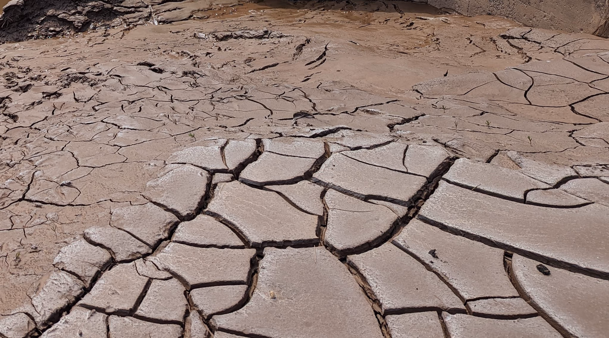 Climate change visual