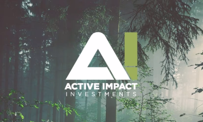 Active Impact Investments logo over a sunlit evergreen forest