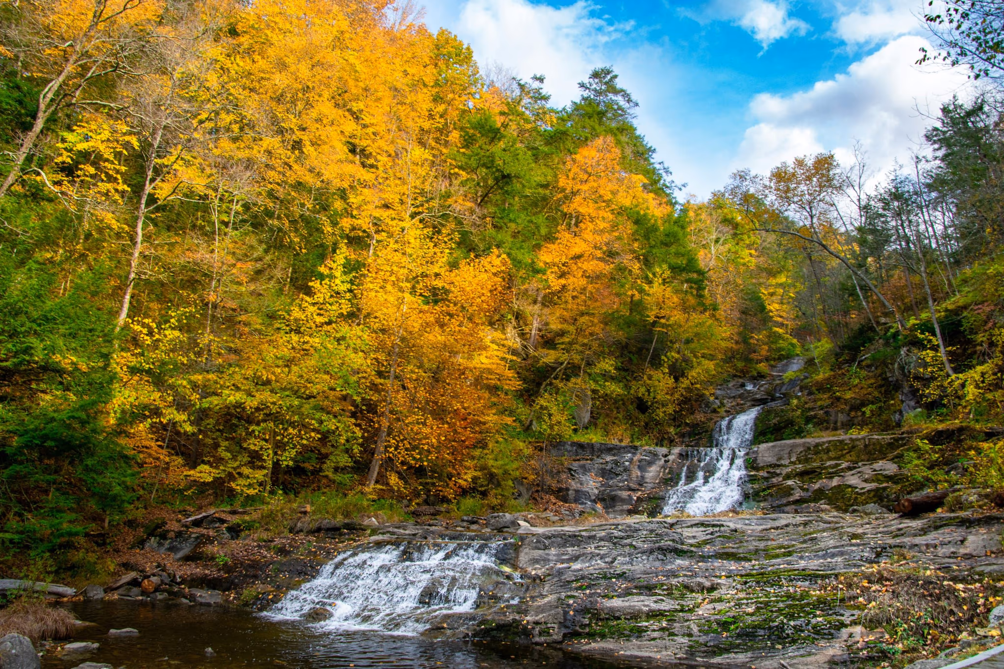Natural inflows visual