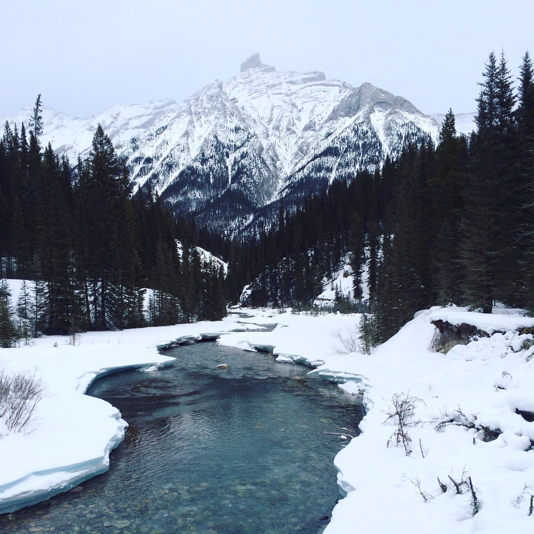 Snowpack visual